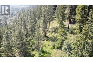 40 Acres Shuswap River Drive - Photo 15