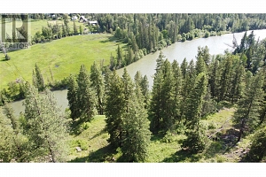 40 Acres Shuswap River Drive - Photo 16