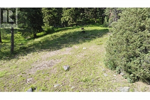 40 Acres Shuswap River Drive - Photo 17