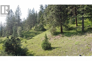 40 Acres Shuswap River Drive - Photo 18