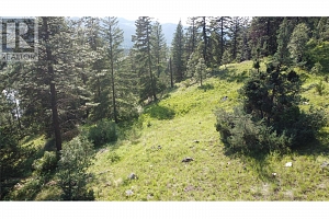 40 Acres Shuswap River Drive - Photo 19