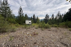 40 Acres Shuswap River Drive - Photo 2