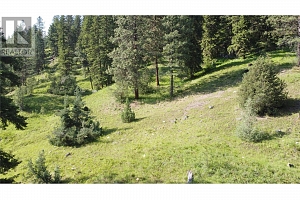 40 Acres Shuswap River Drive - Photo 20