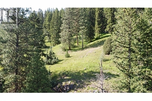 40 Acres Shuswap River Drive - Photo 21