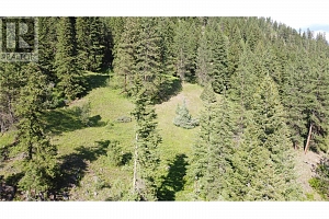 40 Acres Shuswap River Drive - Photo 22