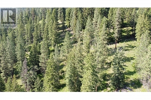 40 Acres Shuswap River Drive - Photo 23