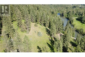 40 Acres Shuswap River Drive - Photo 24