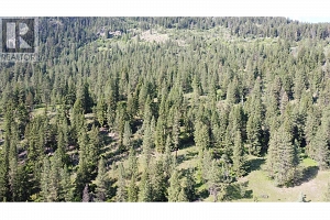 40 Acres Shuswap River Drive - Photo 26