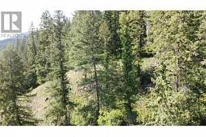 40 Acres Shuswap River Drive - Photo 27