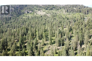 40 Acres Shuswap River Drive - Photo 28