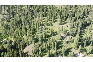 40 Acres Shuswap River Drive - Photo 3