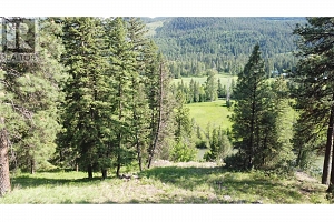40 Acres Shuswap River Drive - Photo 4