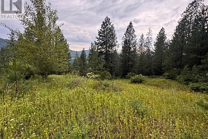 40 Acres Shuswap River Drive - Photo 5