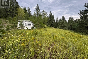 40 Acres Shuswap River Drive - Photo 6