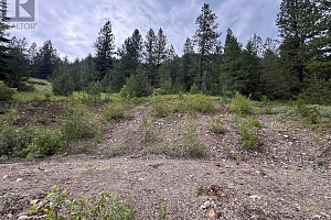 40 Acres Shuswap River Drive - Photo 7