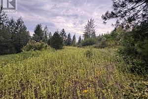 40 Acres Shuswap River Drive - Photo 8