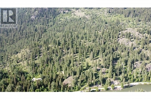 40 Acres Shuswap River Drive - Photo 9