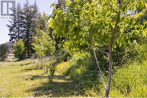 5165 Salmon River Road - Photo 12