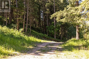 5165 Salmon River Road - Photo 13