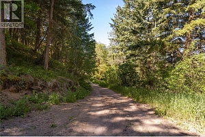 5165 Salmon River Road - Photo 14