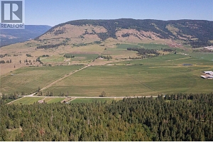 5165 Salmon River Road - Photo 17