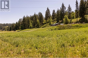 5165 Salmon River Road - Photo 4