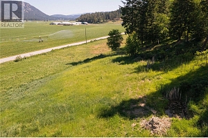 5165 Salmon River Road - Photo 5