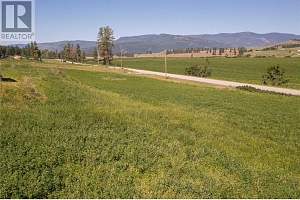 5165 Salmon River Road - Photo 6