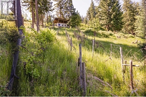 5165 Salmon River Road - Photo 9