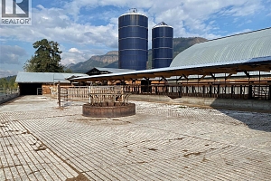 118 Enderby-Grindrod Road - Photo 11