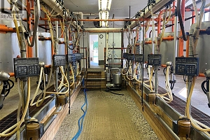 118 Enderby-Grindrod Road - Photo 41