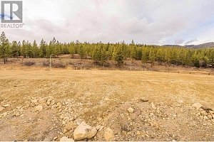 Proposed Lot 48 Flume Court - Photo 3