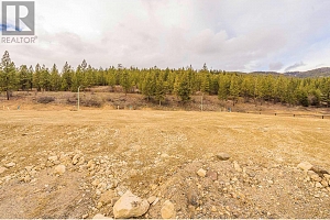 Proposed Lot 48 Flume Court - Photo 4