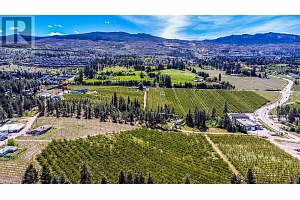 4729 Lakeshore Road - Photo 10