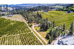 4729 Lakeshore Road - Photo 15