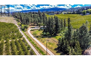 4729 Lakeshore Road - Photo 43