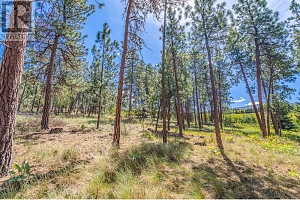 4729 Lakeshore Road - Photo 70