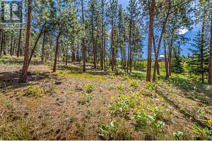 4729 Lakeshore Road - Photo 71