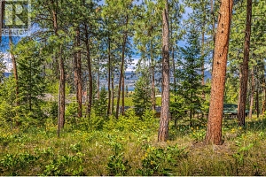 4729 Lakeshore Road - Photo 72