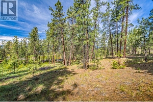 4729 Lakeshore Road - Photo 74