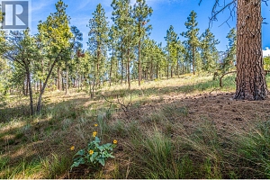 4729 Lakeshore Road - Photo 75