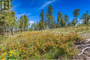 4729 Lakeshore Road - Photo 76