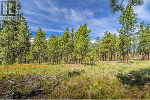 4729 Lakeshore Road - Photo 77