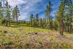 4729 Lakeshore Road - Photo 80