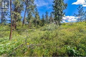 4729 Lakeshore Road - Photo 86