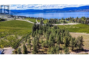 4729 Lakeshore Road - Photo 9