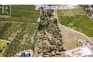 4729 Lakeshore Road - Photo 91