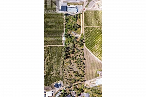 4729 Lakeshore Road - Photo 92