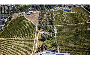 4729 Lakeshore Road - Photo 93