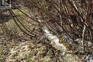 50 East Poirier Road - Photo 12